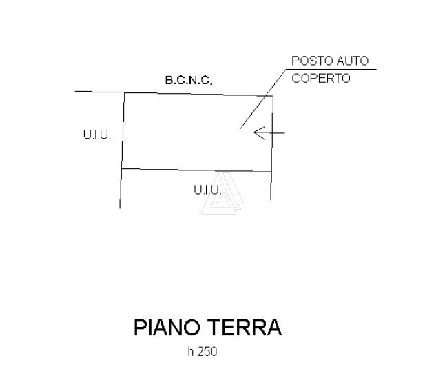 Foto annuncio 13