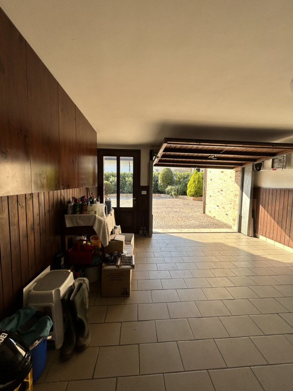 Foto annuncio 31