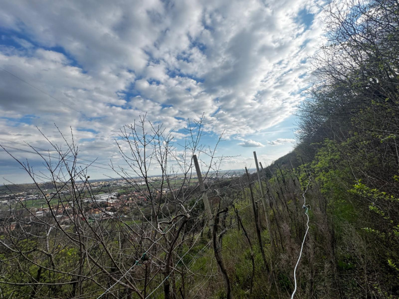 Foto annuncio 4