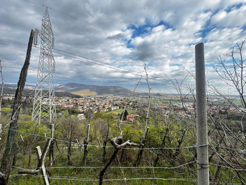 Foto annuncio 5