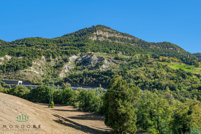 Foto annuncio 61