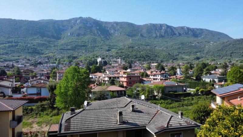 Foto annuncio 7