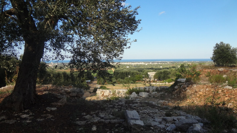 Foto annuncio 5