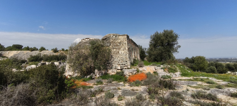 Foto annuncio 6