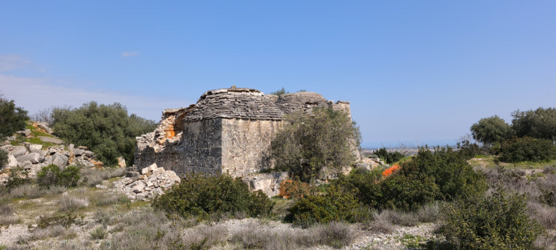 Foto annuncio 9