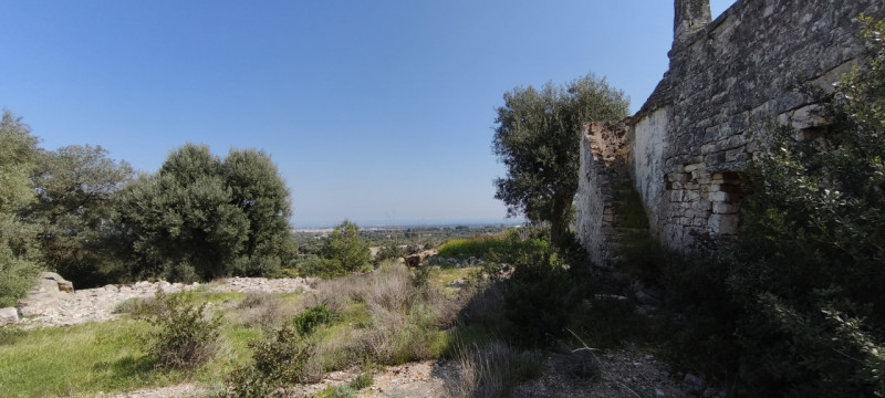 Foto annuncio 13