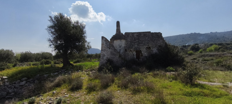 Foto annuncio 14