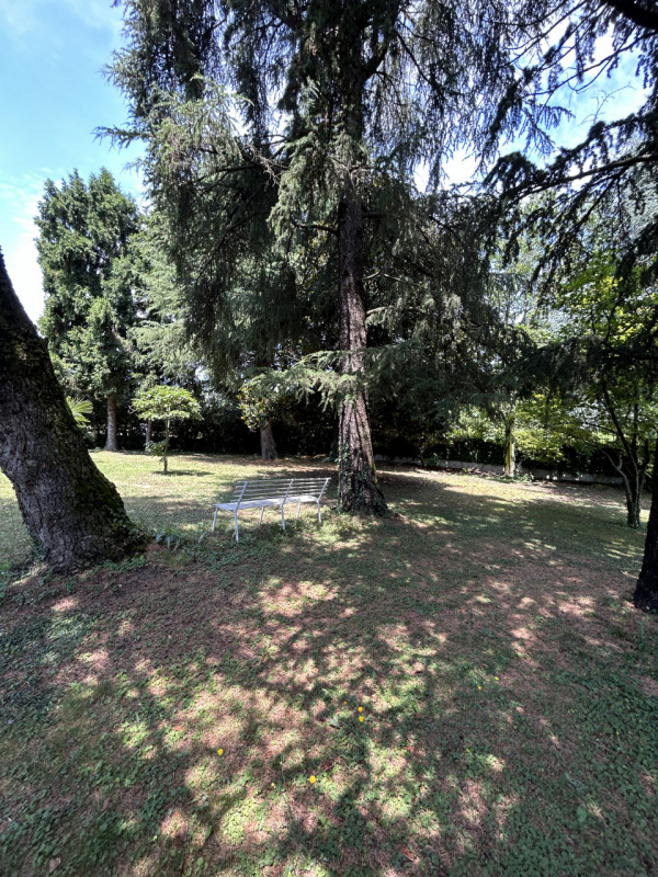 Foto annuncio 25