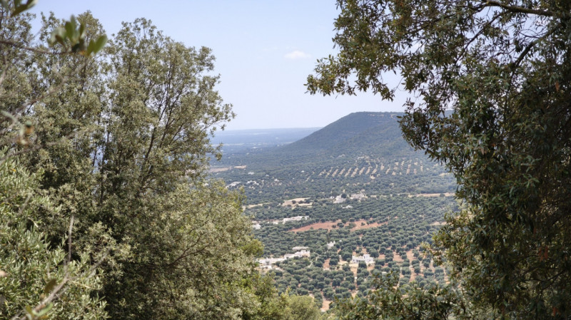 Foto annuncio 2