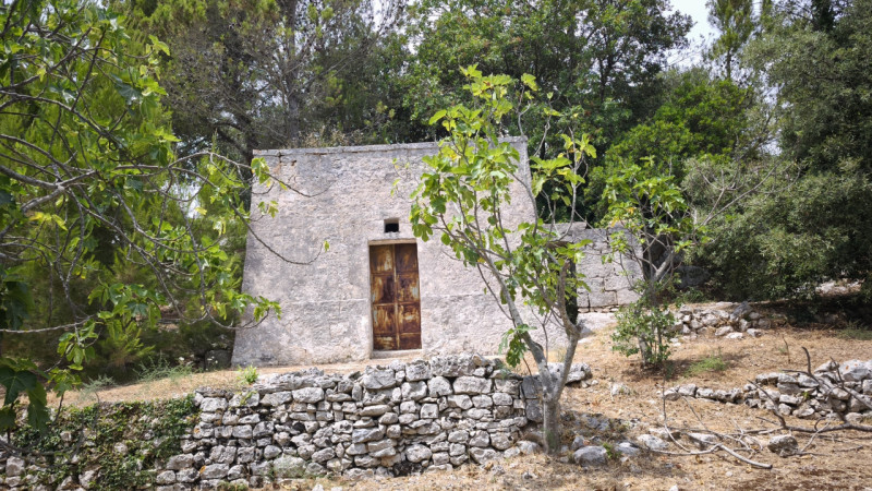 Foto annuncio 3