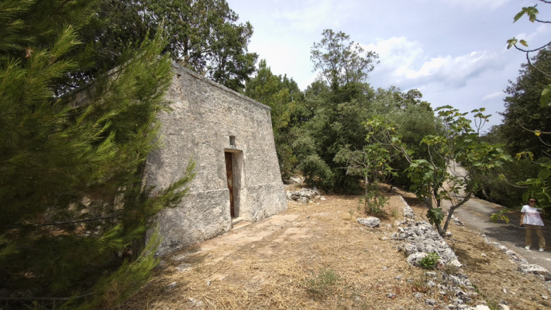 Foto annuncio 5