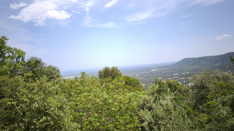 Foto annuncio 6