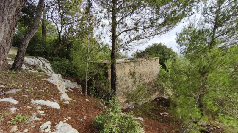 Foto annuncio 7