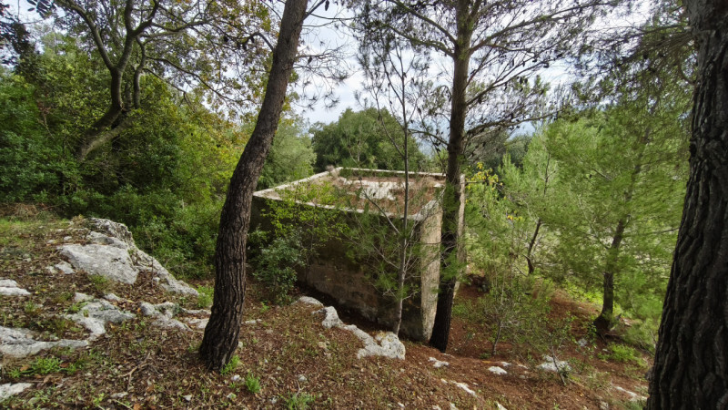 Foto annuncio 8