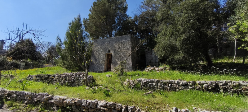 Foto annuncio 15
