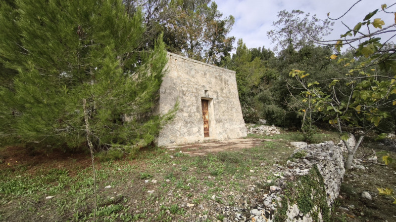 Foto annuncio 16