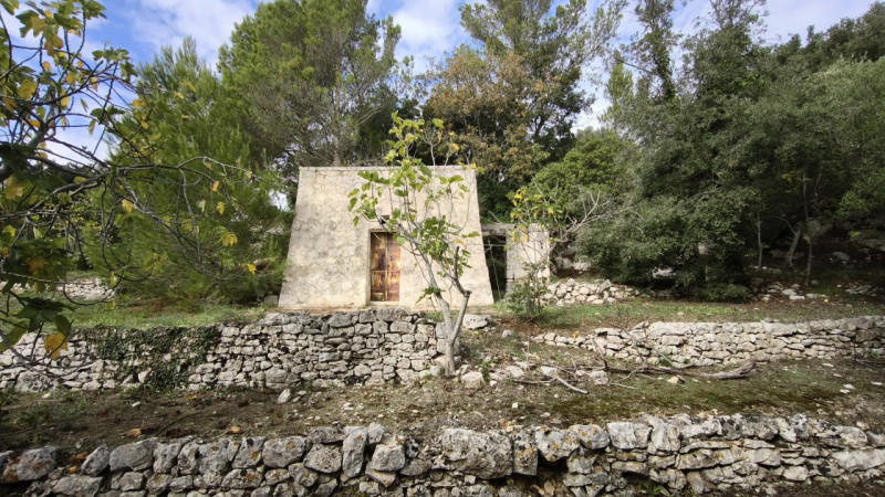 Foto annuncio 17