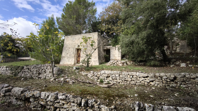 Foto annuncio 18