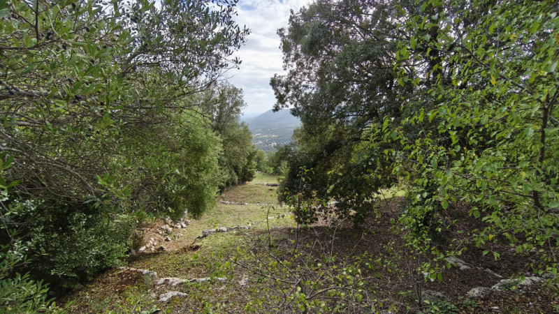 Foto annuncio 19
