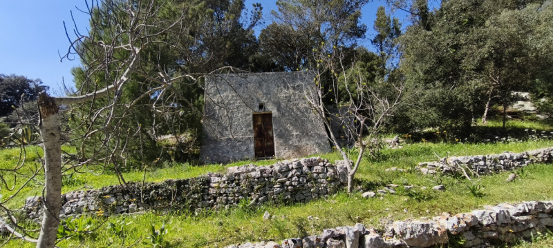 Foto annuncio 21