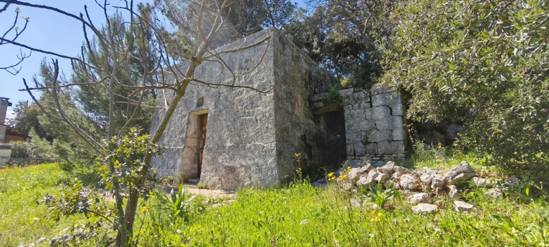 Foto annuncio 23
