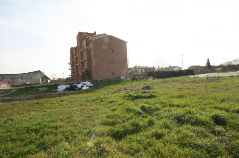 Foto annuncio 6