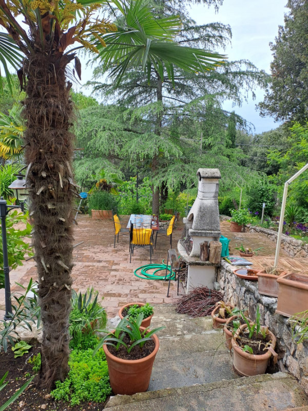 Foto annuncio 5