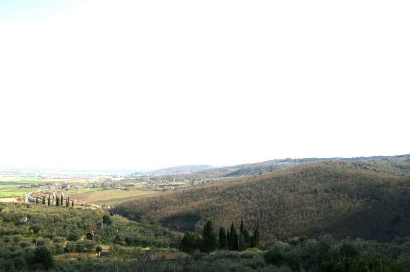 Foto annuncio 12