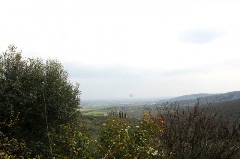 Foto annuncio 26