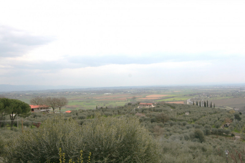 Foto annuncio 39