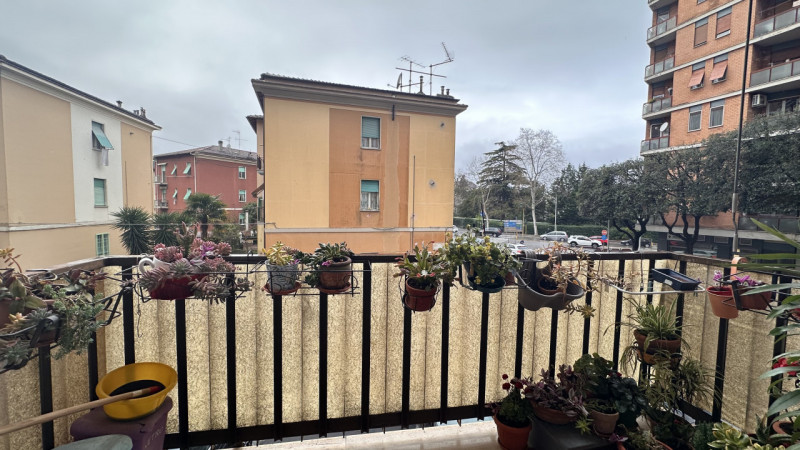 Foto annuncio 10