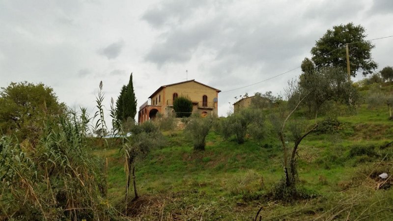 Foto annuncio 6