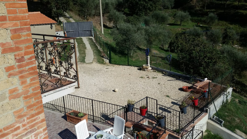Foto annuncio 7