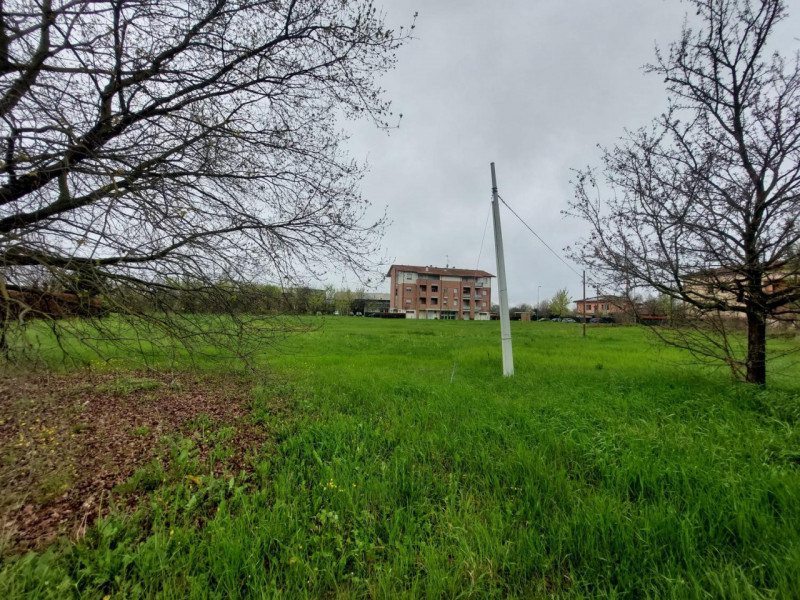 Foto annuncio 9