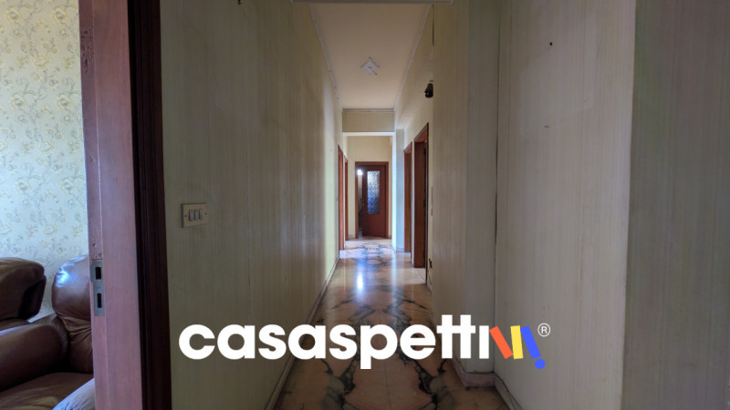 Foto annuncio 11
