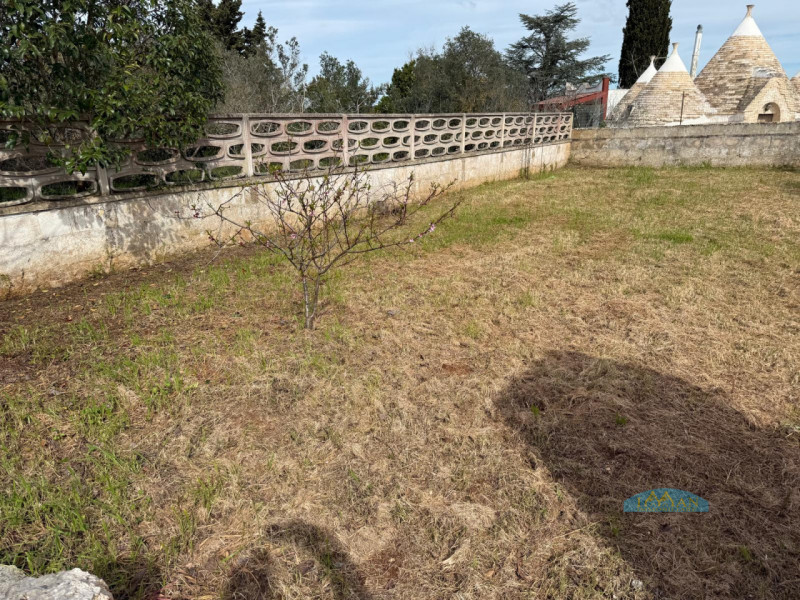 Foto annuncio 10
