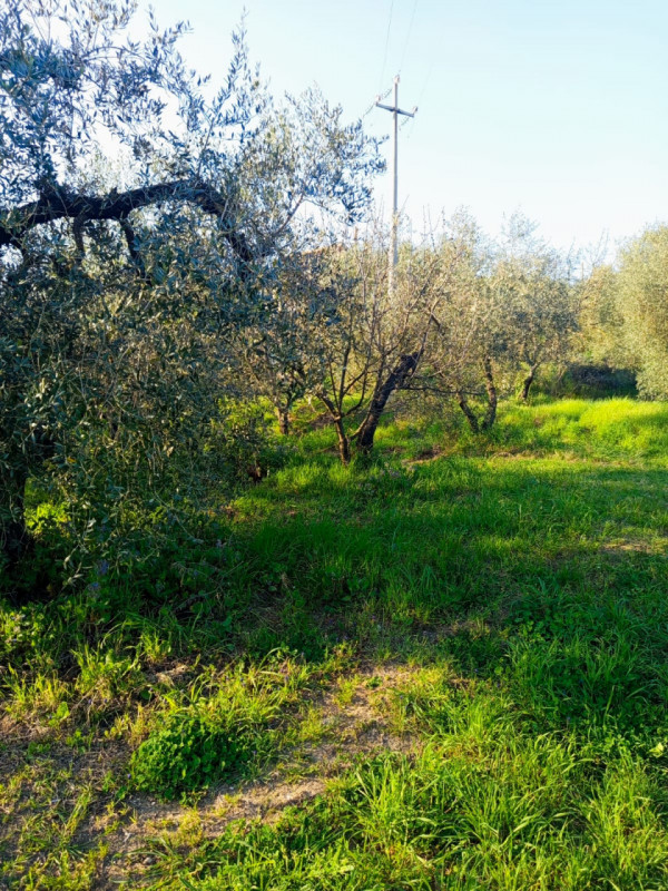 Foto annuncio 4