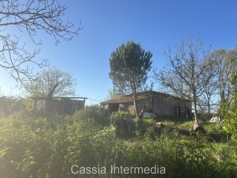 Foto annuncio 20