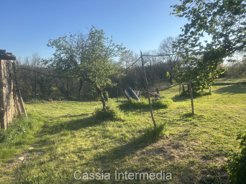 Foto annuncio 30