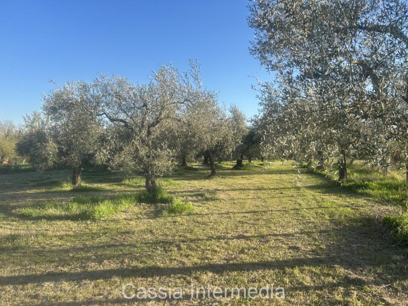 Foto annuncio 34