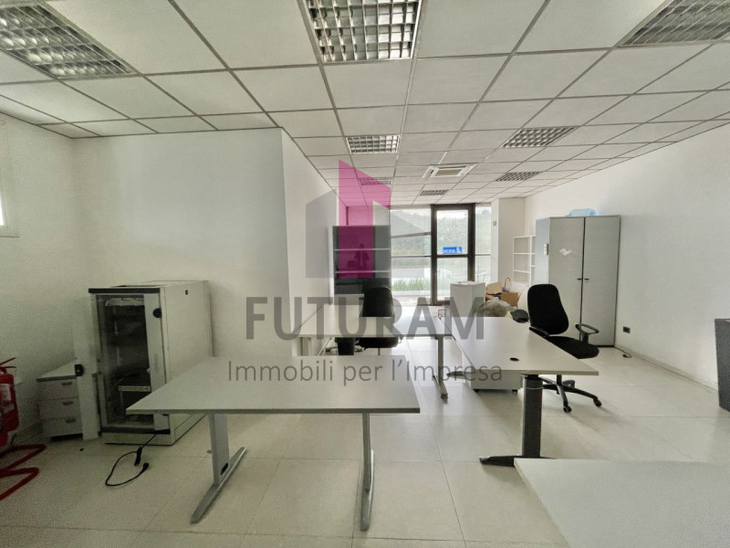 Foto annuncio 13