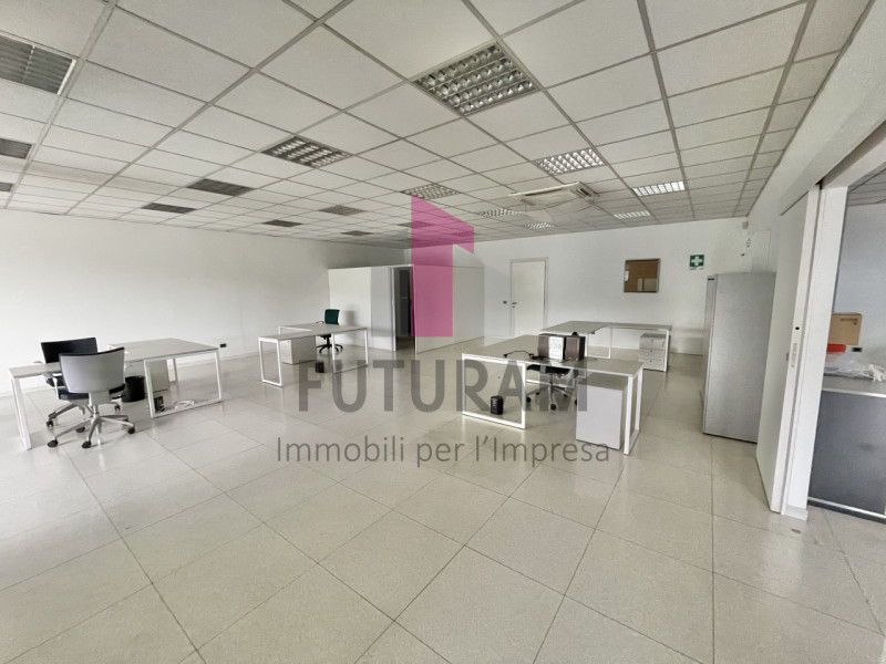 Foto annuncio 14