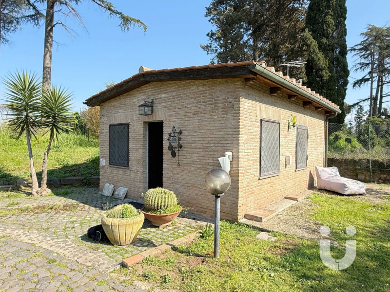 Foto annuncio 29