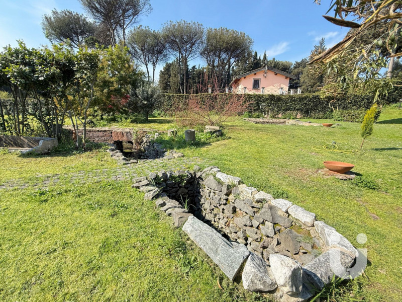 Foto annuncio 35