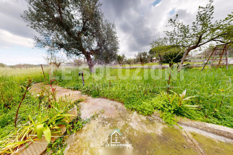 Foto annuncio 24