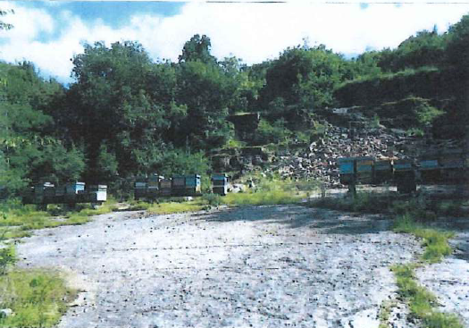 Foto annuncio 2