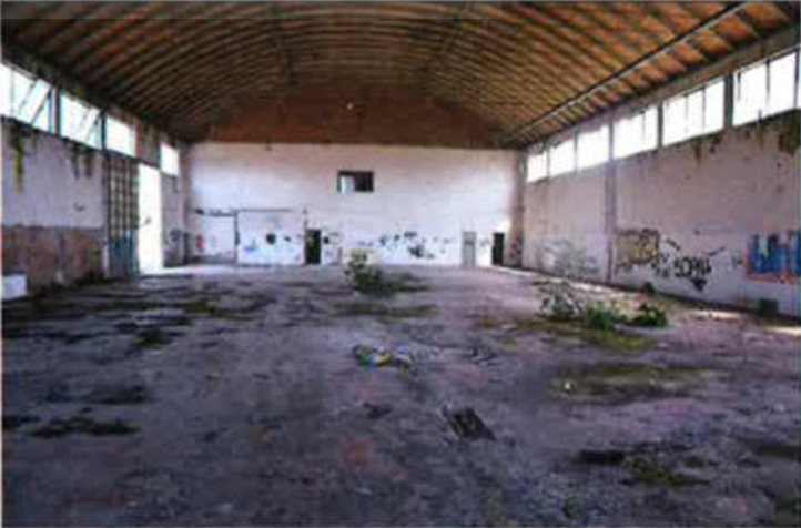 Foto annuncio 8