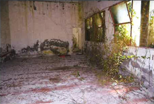 Foto annuncio 11