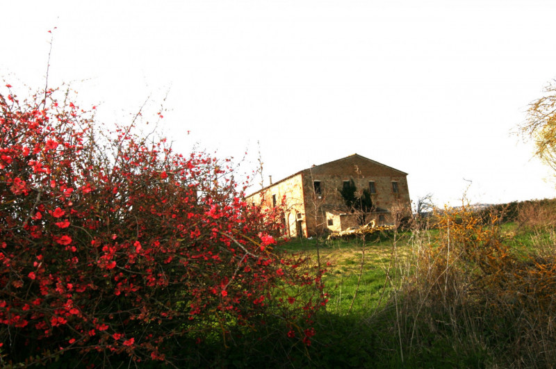 Foto annuncio 8