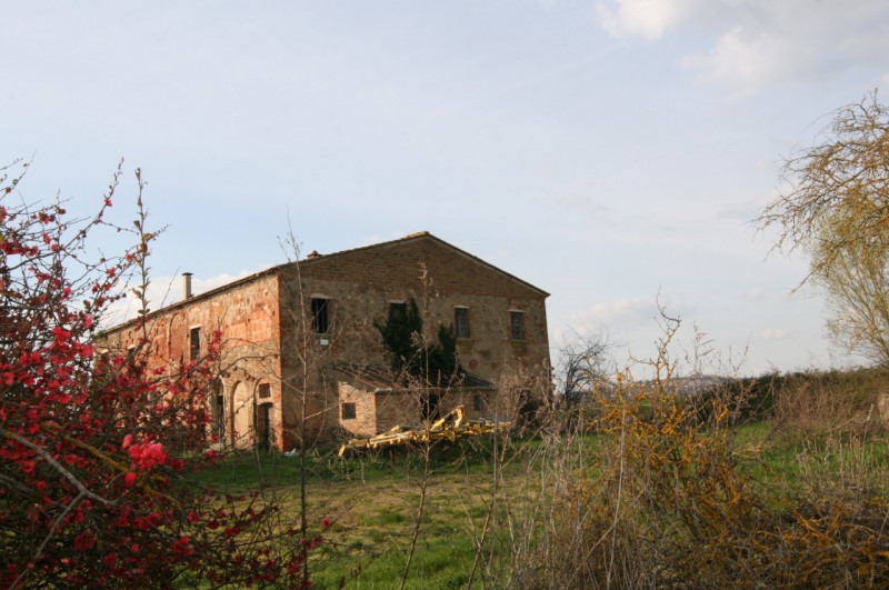 Foto annuncio 9